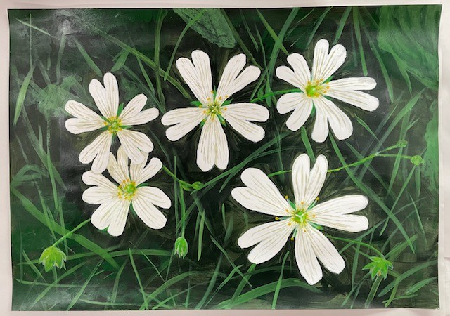 Acrylic painting titled 'Stitchwort' by Ann