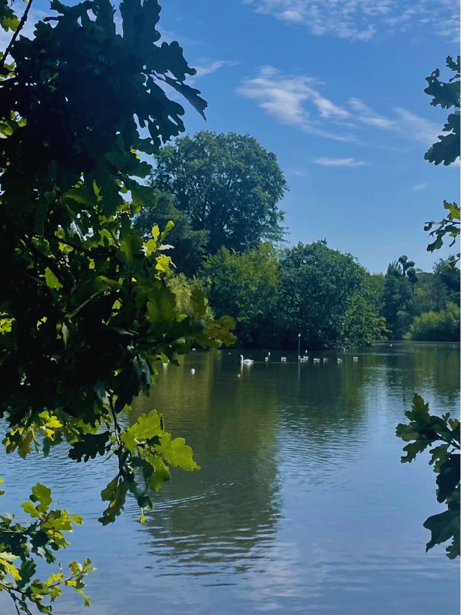 Aug Newsletter (10)